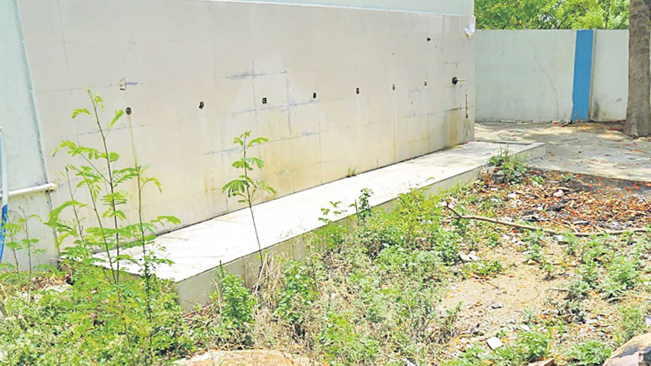 Medak4