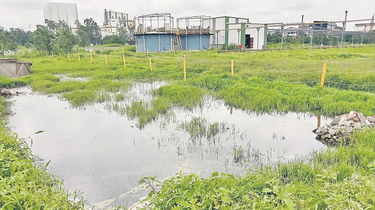 పీడిస్తున్న కాలుష్య భూతం