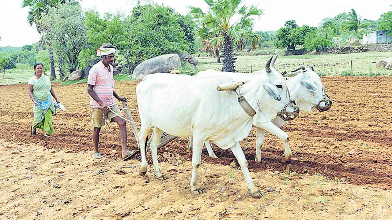సాగుకు సన్నద్ధం నైరుతి రాకతో పలకరించిన తొలకరి