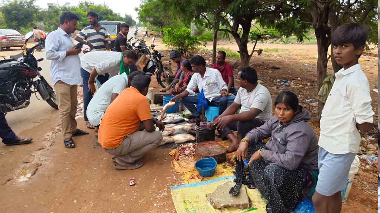 Mrigasira Karthi | మృగశిర కార్తె.. జోరుగా చేపల విక్రయాలు
