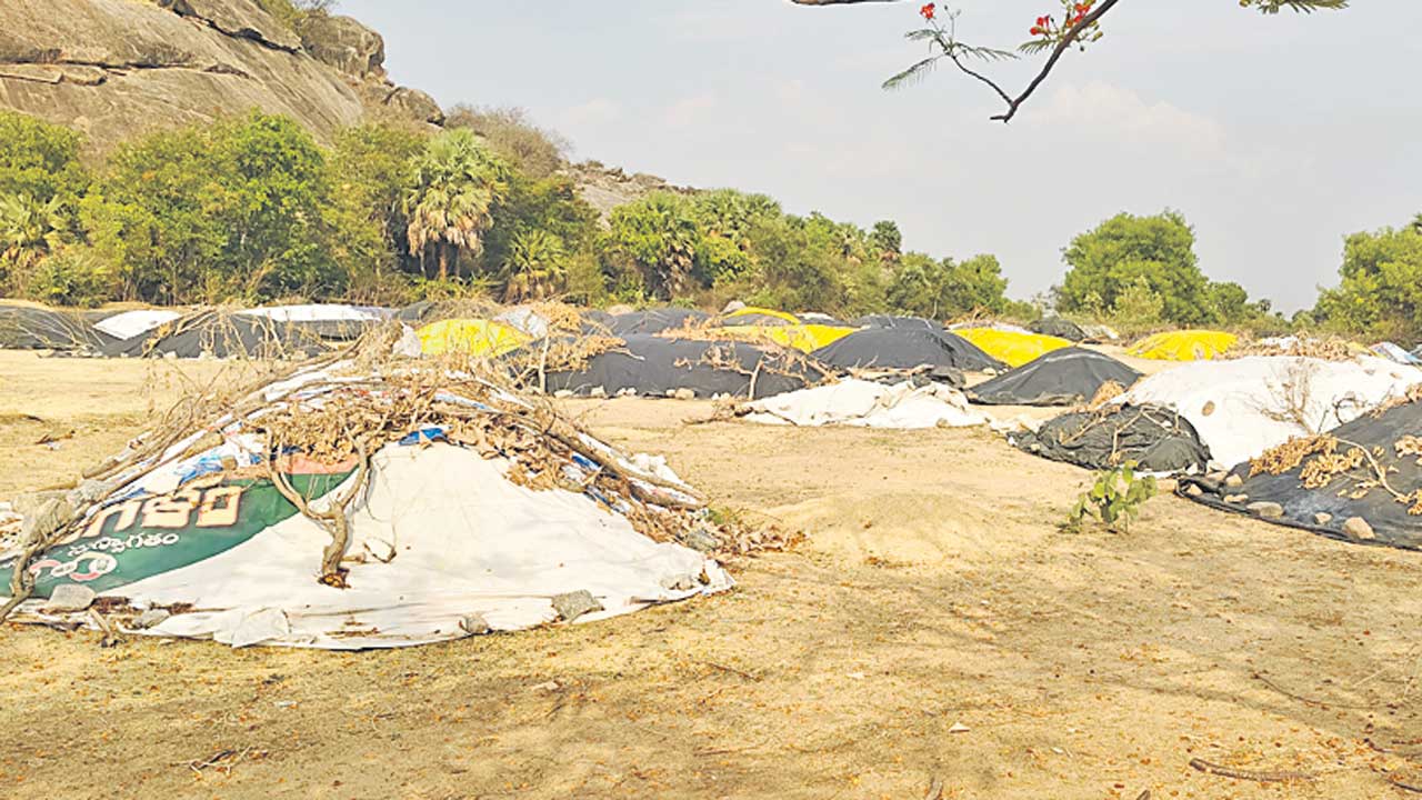 కోత ఉంటేనే దిగుమతి!