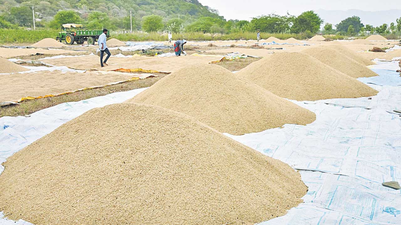 సన్నాలకు సున్నాలు!