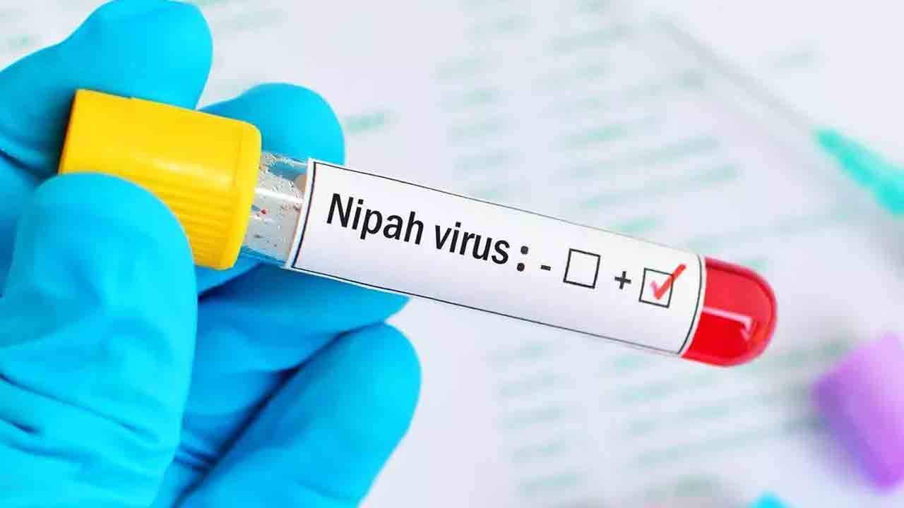 కేరళ వ్యక్తికి నిఫా వైరస్‌!.. ప్రాథమిక పరీక్షలో గుర్తింపు