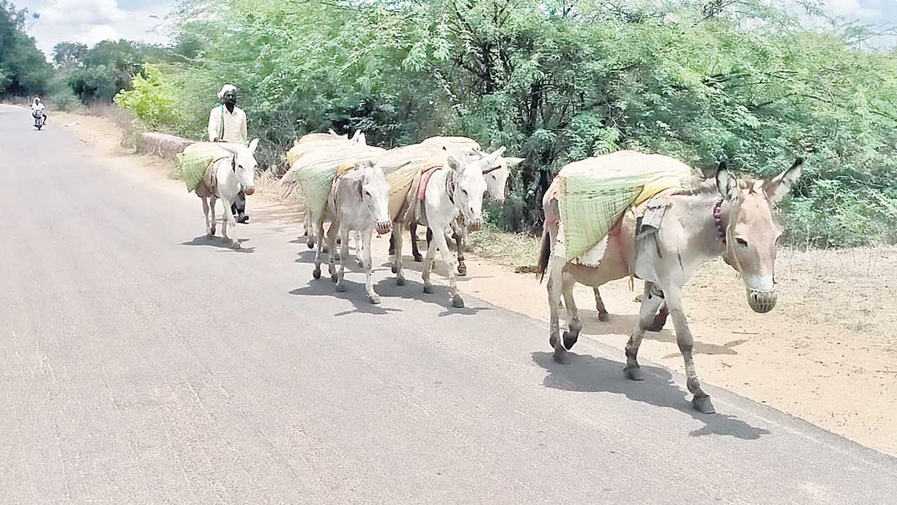 Nizamabad3