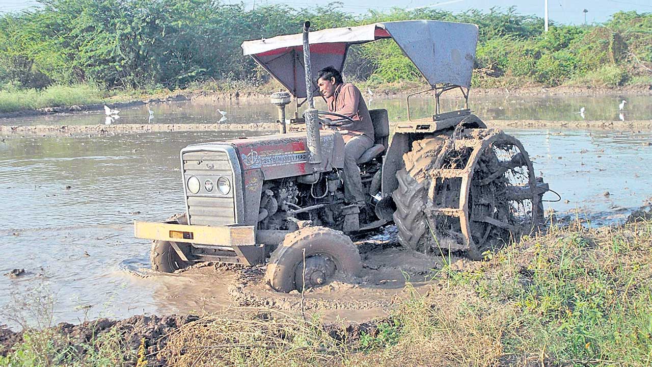 పెరిగిన సాగు ఖర్చు