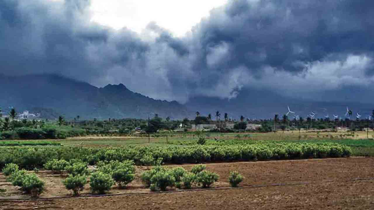 బలహీనపడిన నైరుతి రుతుపవనాలు