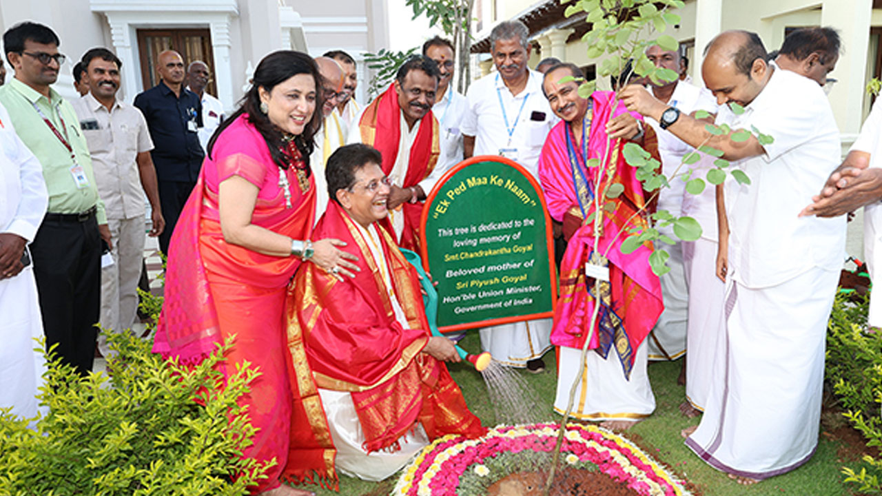 Tree Plantation
