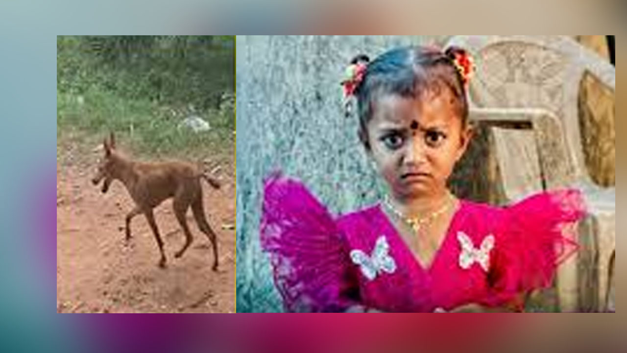 Pet dog Died | చిన్నారి జ్ఞానేశ్వరి మిస్సింగ్‌లో కీలక ఆధారమైన పెంపుడు కుక్క మృతి