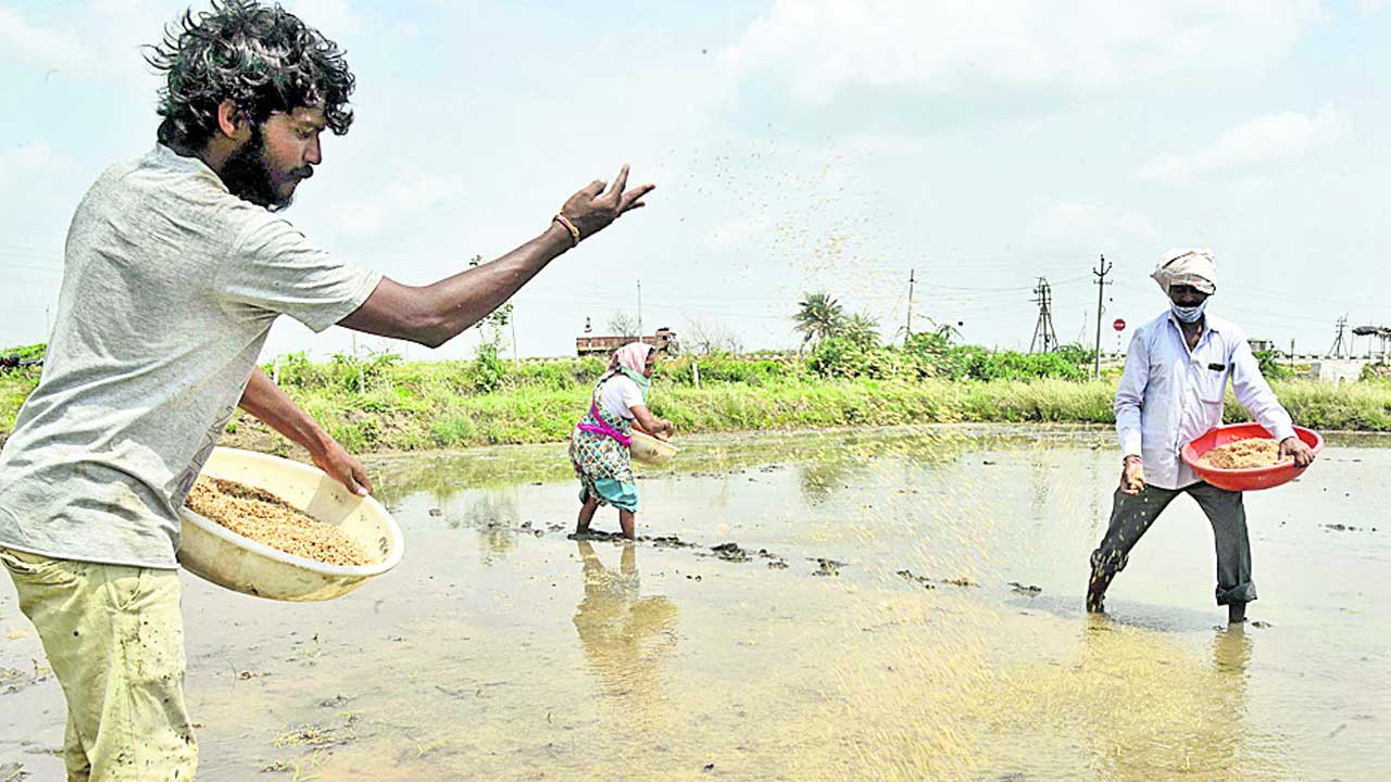 ఏజెన్సీలో నకిలీ గుబులు