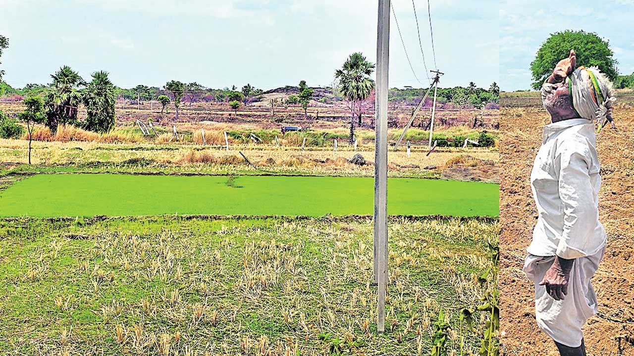 రైతు చూపు.. మొగులు వైపు