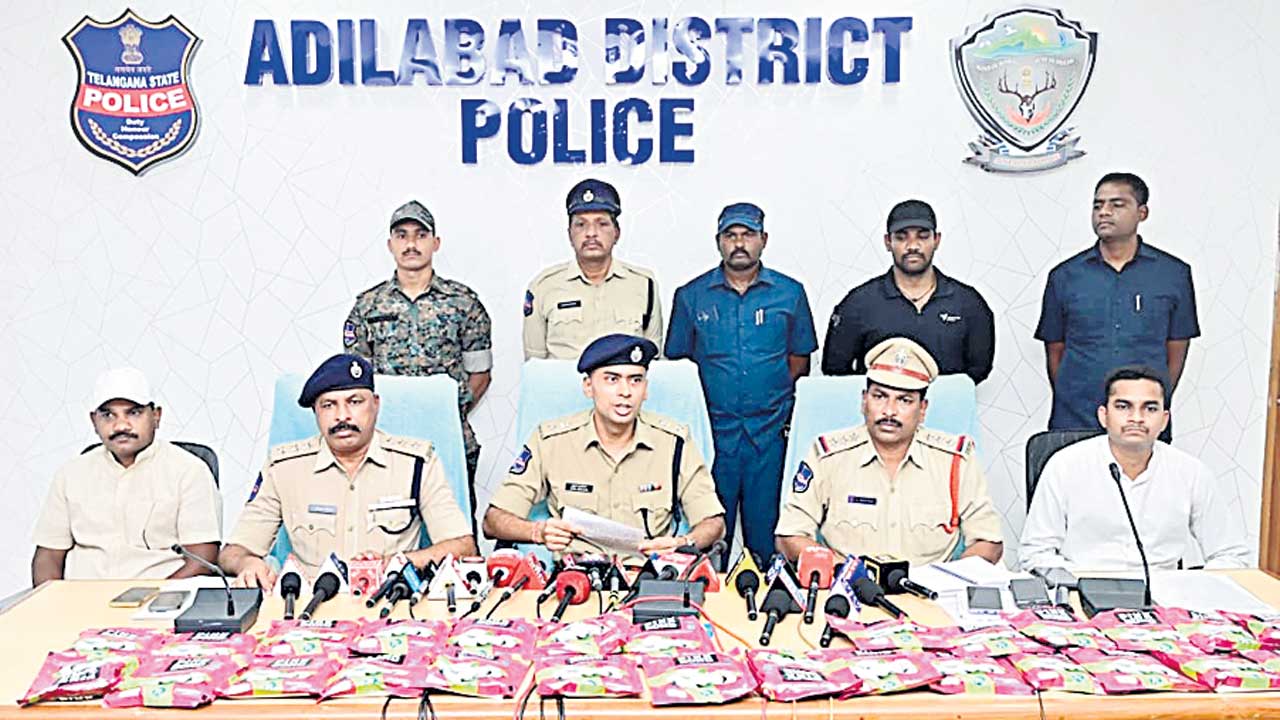 నకిలీ పత్తి విత్తనాలపై ఉక్కుపాదం