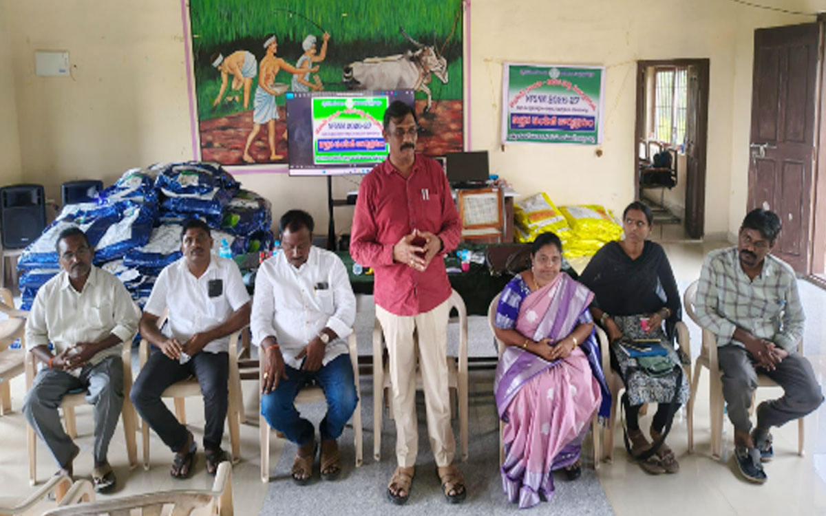 ‘అధిక సాంద్రత విధానంలో పత్తి సాగు చేపట్టాలి’