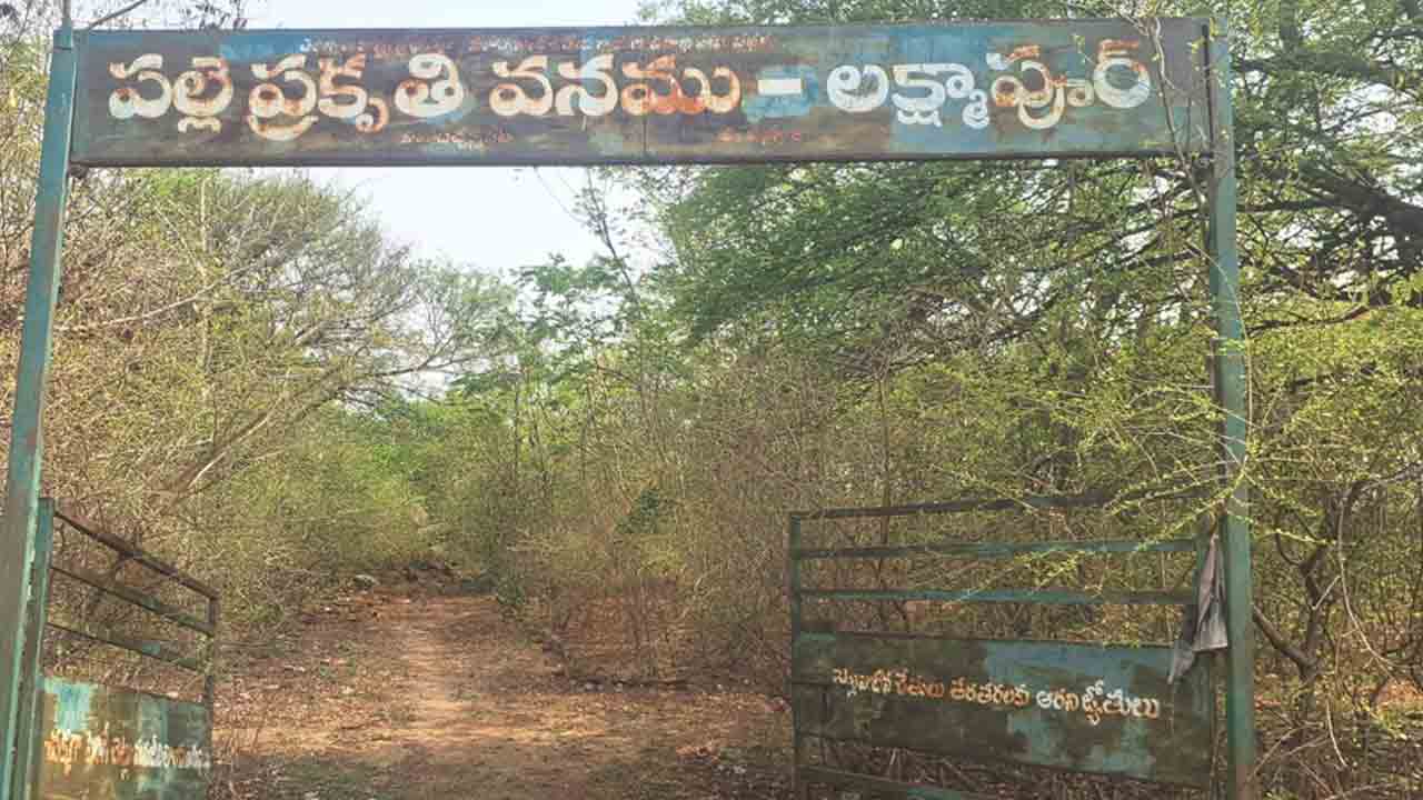 Bachannapet | అధ్వానంగా లక్ష్మాపూర్ పల్లె ప్రకృతి వనం.. చెత్తతో అస్తవ్యస్తంగా మారిన గ్రామ పార్కు
