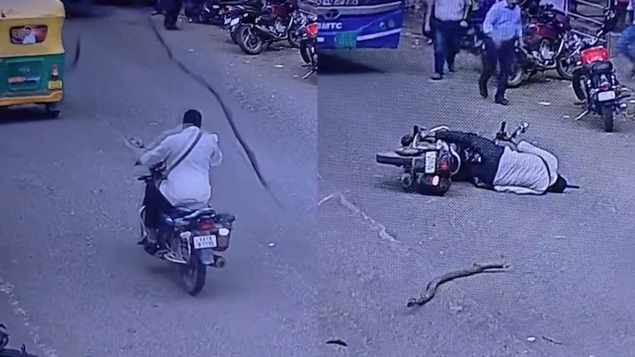 Bengaluru: త‌ల‌పై ప‌డిన చెట్టు కొమ్మ‌.. కోమాలోకి వెళ్లిన బెంగుళూరు బైక‌ర్.. వీడియో