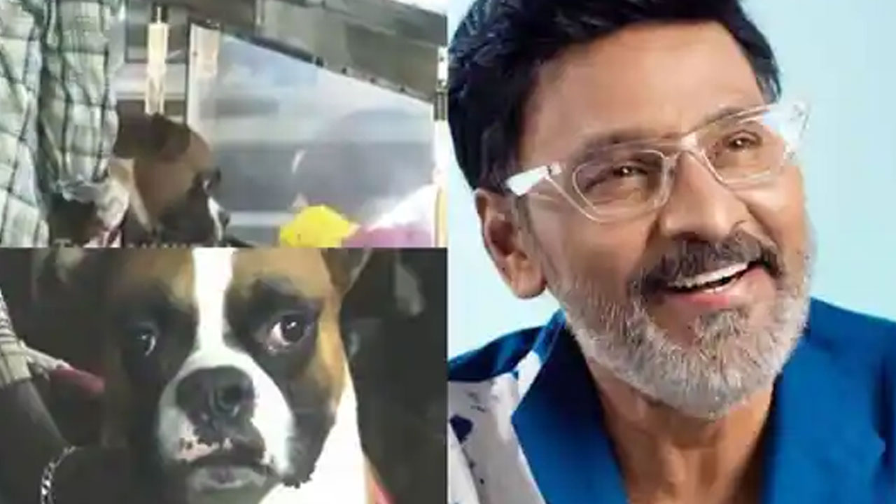 Bhagyaraj | యజమాని కోసం మూగ వేదన.. భాగ్యరాజ్ పార్థివ దేహం వద్ద పెంపుడు కుక్క కన్నీటి క్షణాలు వైరల్