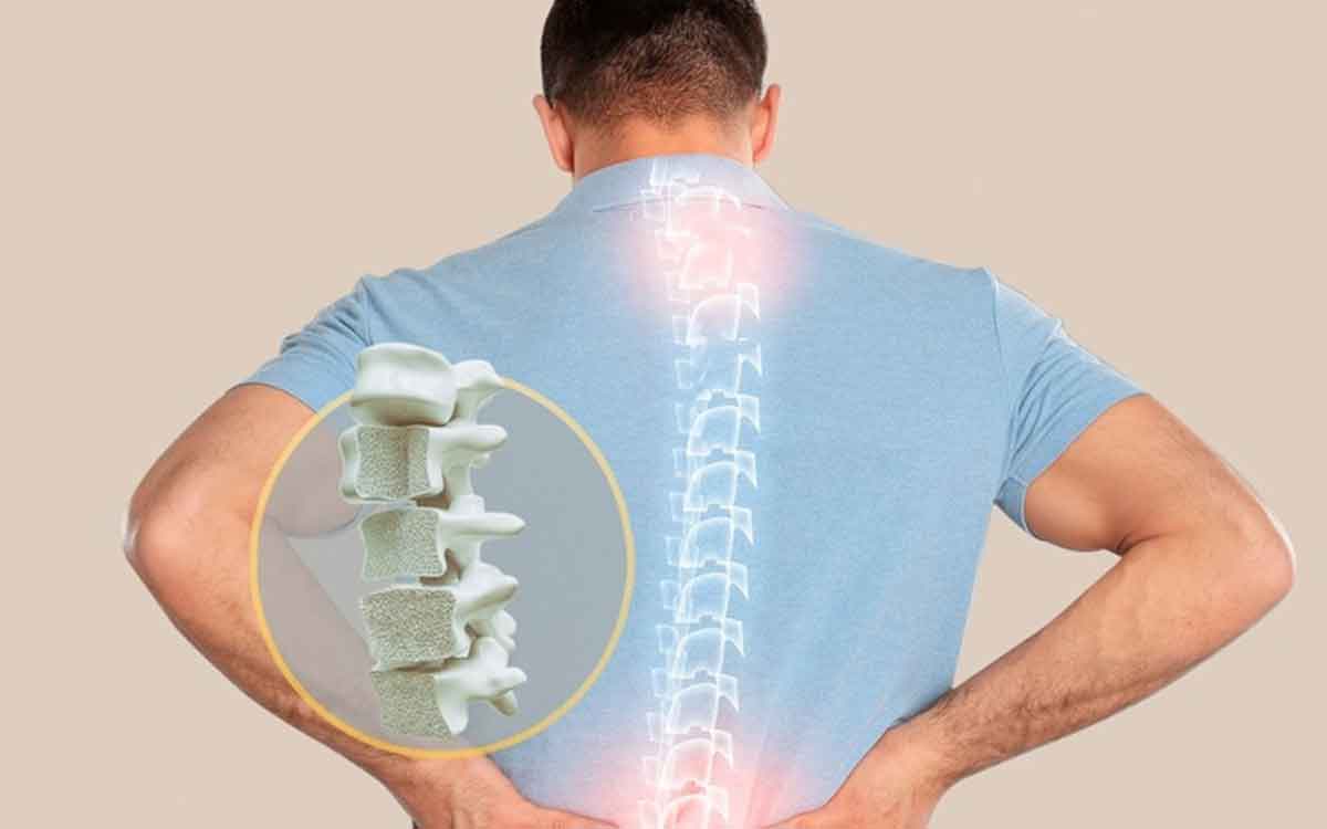 Bone Health | ఎముక‌లు శ‌రీరానికి మ‌ద్ద‌తు ఇచ్చే నిర్మాణాలు మాత్ర‌మే కాదు, ఈ ప‌నుల‌ను కూడా చేస్తాయి..!