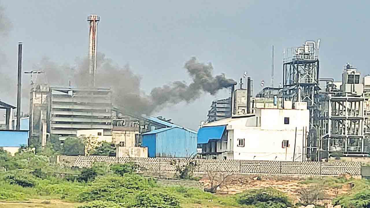 కాటేస్తున్న కాలుష్యం..