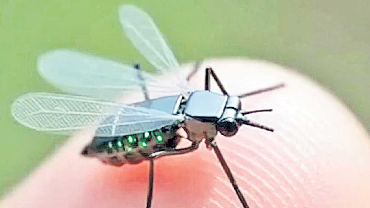 దోమ సైజులో డ్రోన్‌
