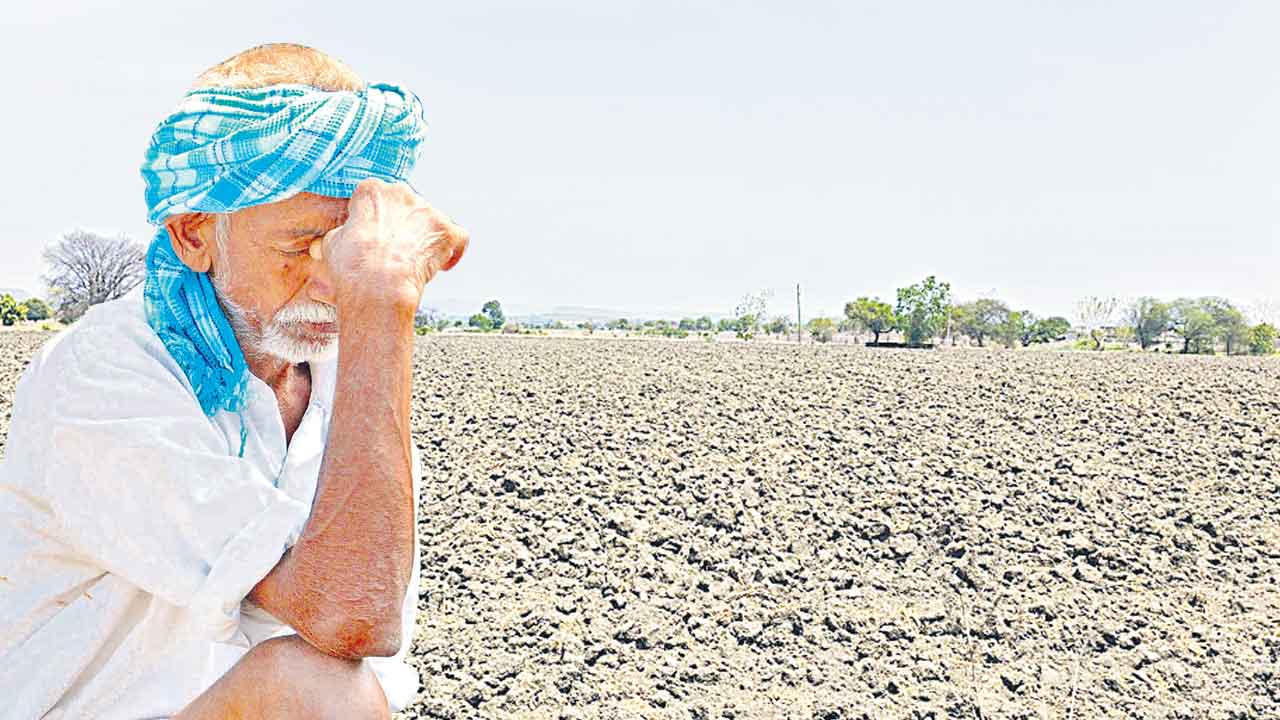 పత్తి  సాగెట్ల?
