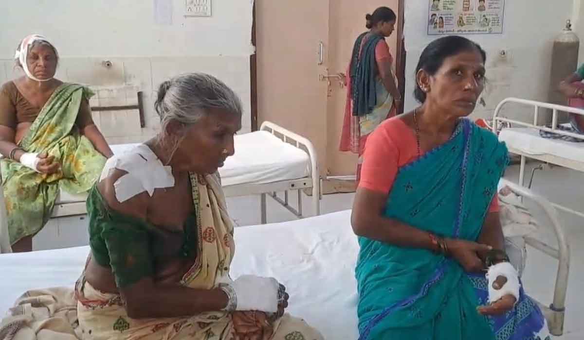 sarangapur | గణేష్‌పల్లిలో పిచ్చికుక్క దాడిలో 14 మందికి గాయాలు