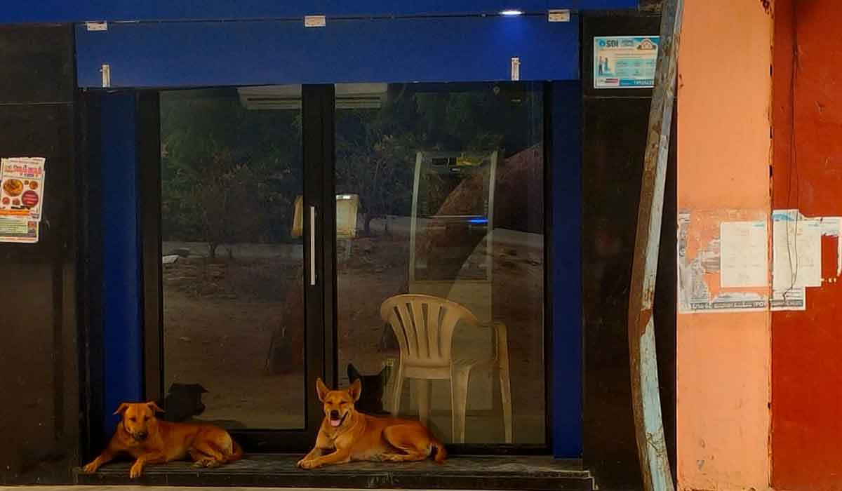 Ramagiri | అక్కడ ఏటీఎంకు శునకాలే కాపలా.. రామగిరిలో నగదు లేక ‘నో మనీ’ బోర్డులే దర్శనం