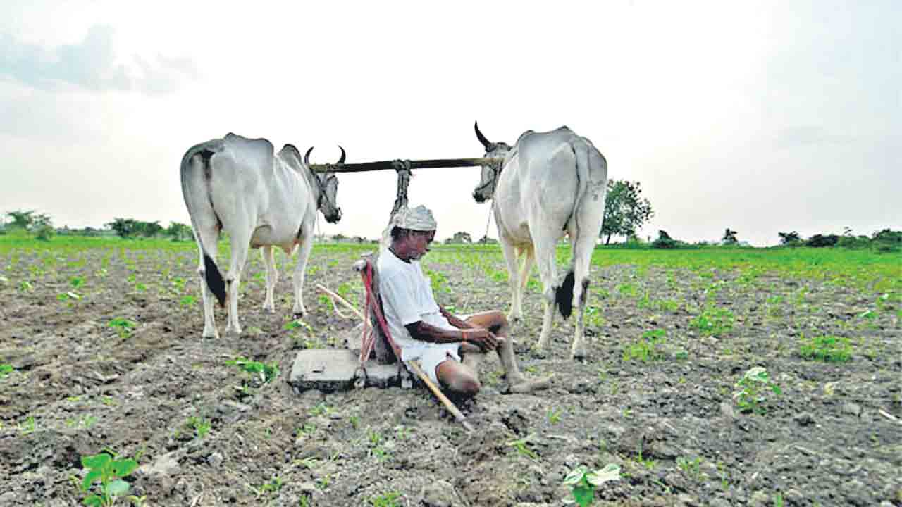 కాడికి పట్టిన చీడ కాంగ్రెస్‌