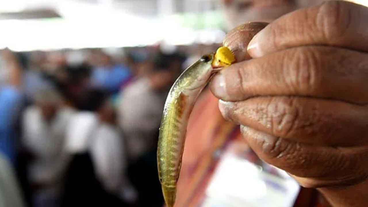 ఆస్తమా రోగులకు ఉచిత సేవలు