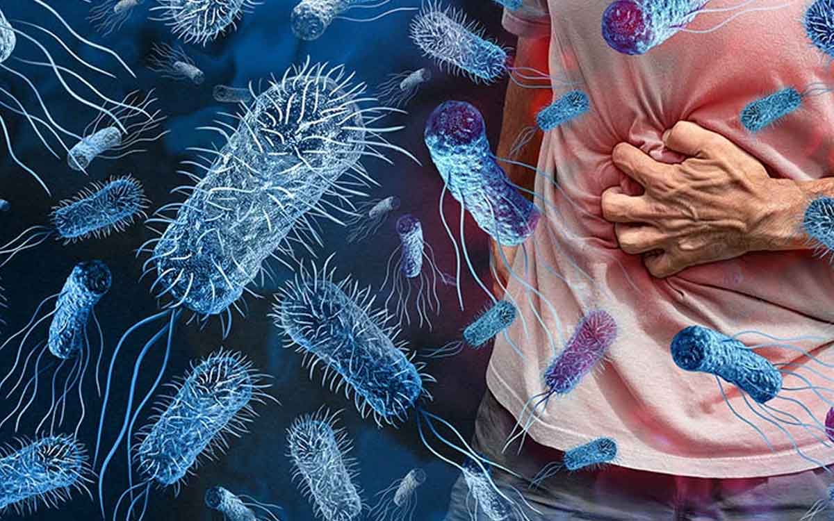 Food Poisoning | క‌లుషిత ఆహారంతో ఏటా 15 ల‌క్ష‌ల మంది మృత్యువాత‌.. వెల్ల‌డించిన ప్ర‌పంచ ఆరోగ్య సంస్థ‌..