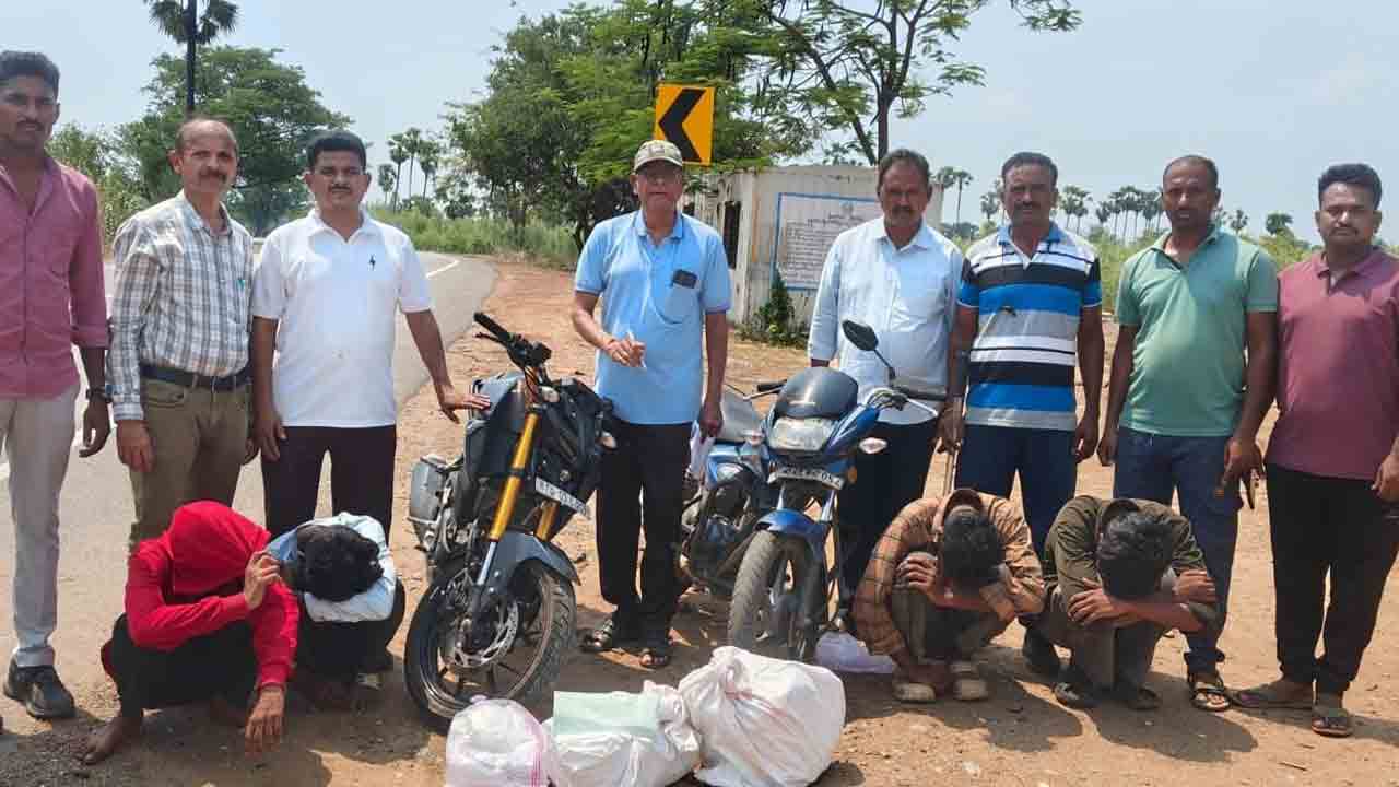 గంజాయి పట్టివేత
