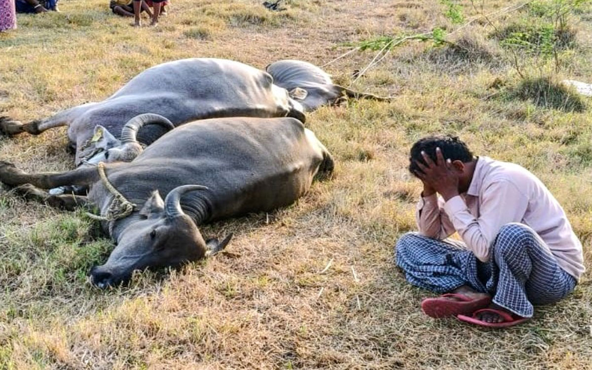 విద్యుత్ షాక్‌తో రెండు బ‌ర్రెలు, దూడ మృతి