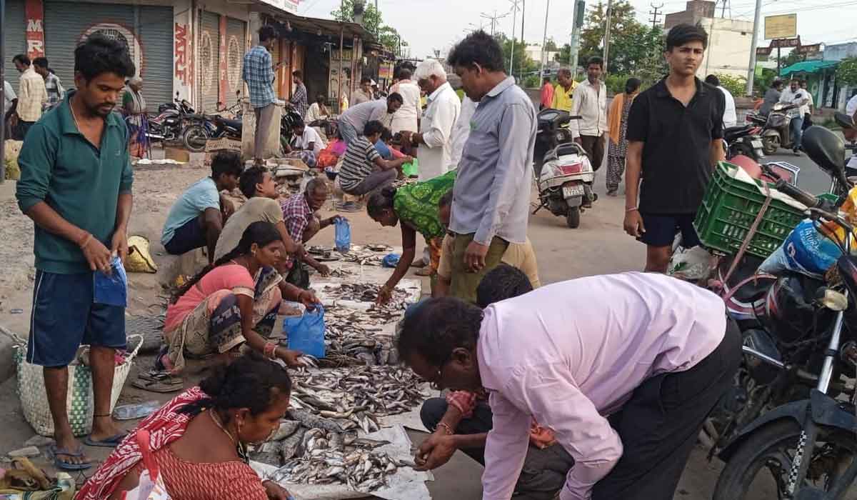 Godavarikhani | గోదావరిఖనిలో ‘మృగశిర’ సందడి.. చేపల కోసం ఎగబడిన జనం