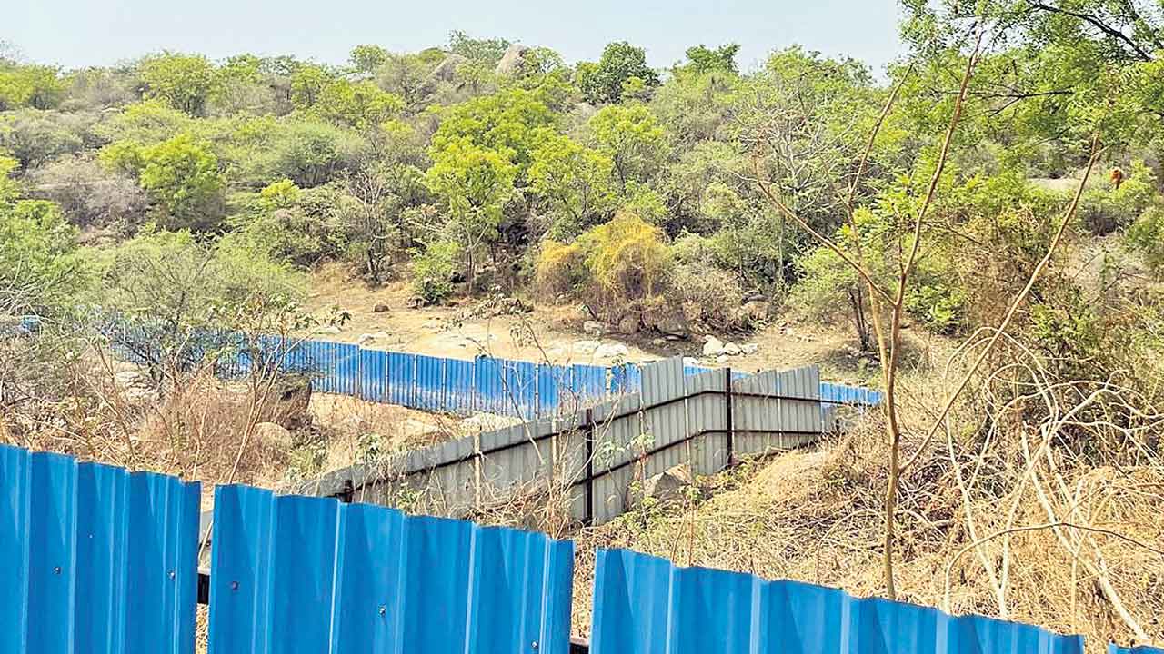 Govt Land
