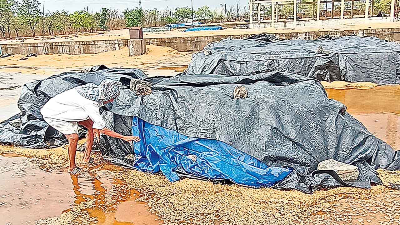 వర్షానికి తడిసిన ధాన్యం.. పలుచోట్ల కొట్టుకుపోయిన వడ్లు, మక్కలు