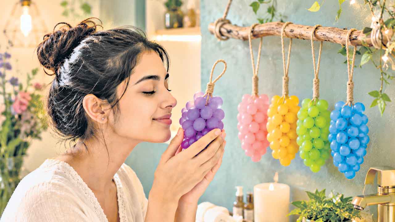 సోప్‌ వేలాడదీద్దాం!