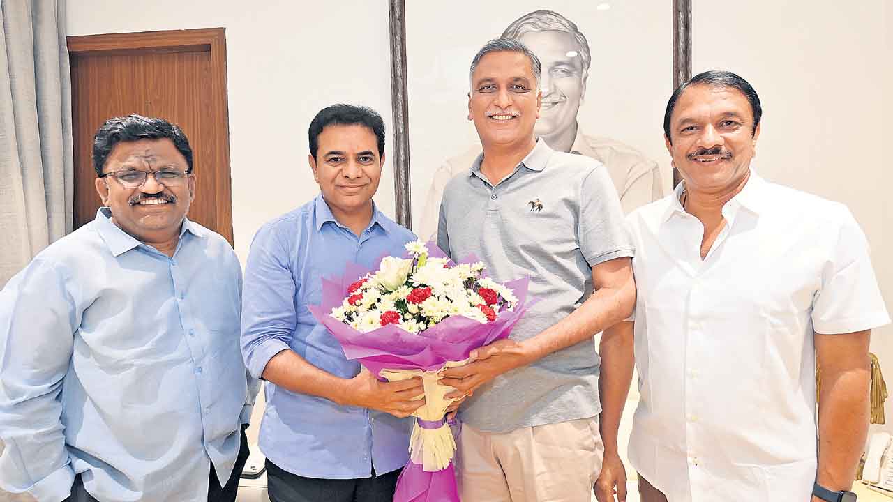 ఘనంగా హరీశ్‌ జన్మదిన వేడుకలు