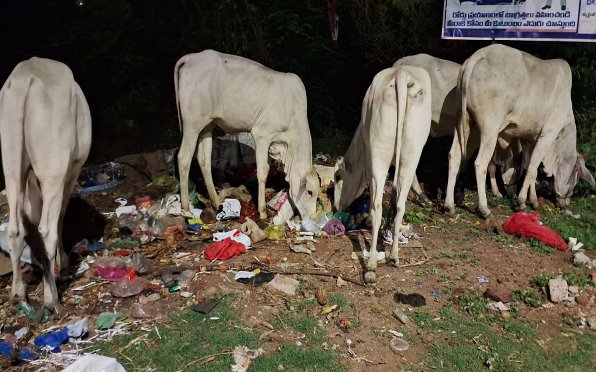 జూలూరుపాడులో అనధికారిక డంపింగ్ యార్డ్