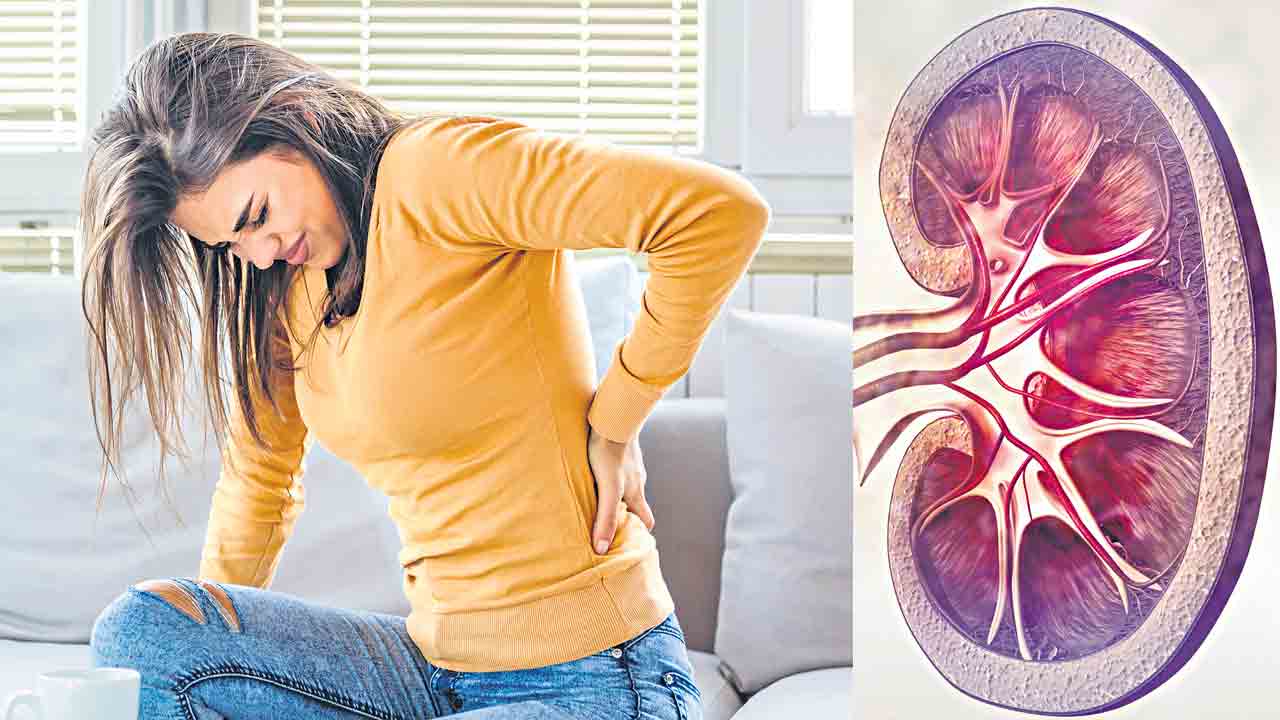 కిడ్నీ కష్టాన్ని కనిపెట్టండి