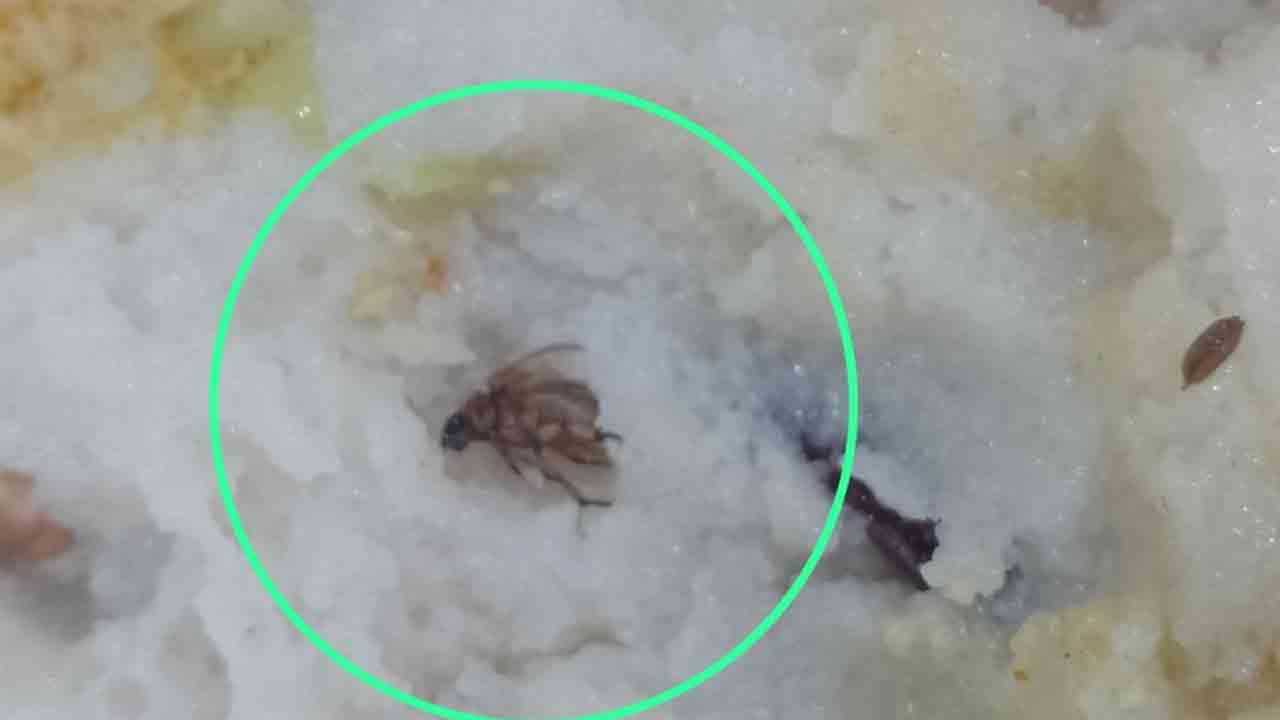 KU Hostel | కేయూలో పురుగుల ఉప్మా.. ఆందోళనలో విద్యార్థులు