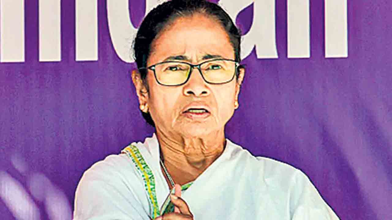 Mamata