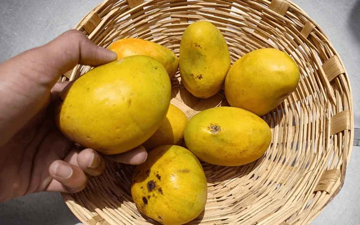 Mangoes | మామిడి పండ్ల‌ను కొంటున్నారా.. పండ్లు నాణ్యంగా ఉన్నాయా లేదా ఇలా గుర్తించండి..