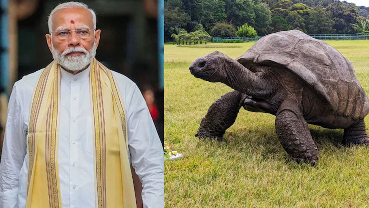 PM Modi: 194 ఏళ్ల తాబేలును క‌లుసుకోనున్న ప్ర‌ధాని మోదీ