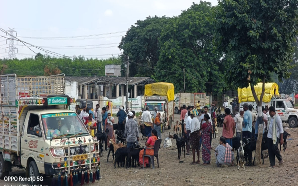 మోరంపల్లిబంజర్ సంతలో నిబంధనలు బేఖాతర్