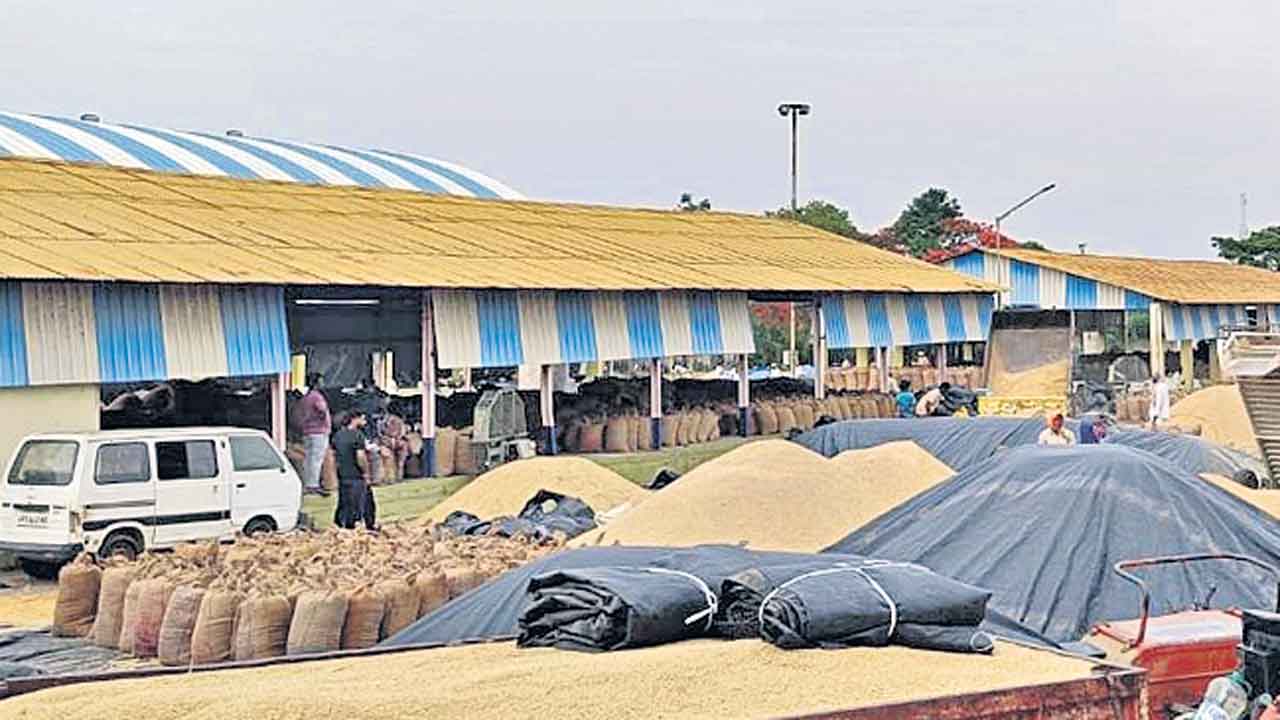 సవాళ్ల సాగు.. సాగు పనుల్లో రైతులు బిజీ.. పొడి నేలలో పత్తి విత్తనాలు పెడుతున్న కర్షకులు
