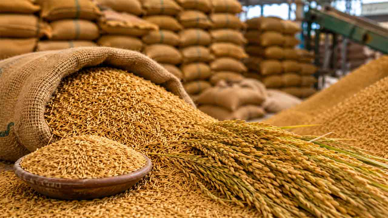 Crop Bonus | బోనస్ ఎగవేతకు రేవంత్ సర్కార్ ప్లాన్.. సన్నాలు 37 నుంచి 7 రకాల కుదింపు వెనుక అసలు కారణమిదే!