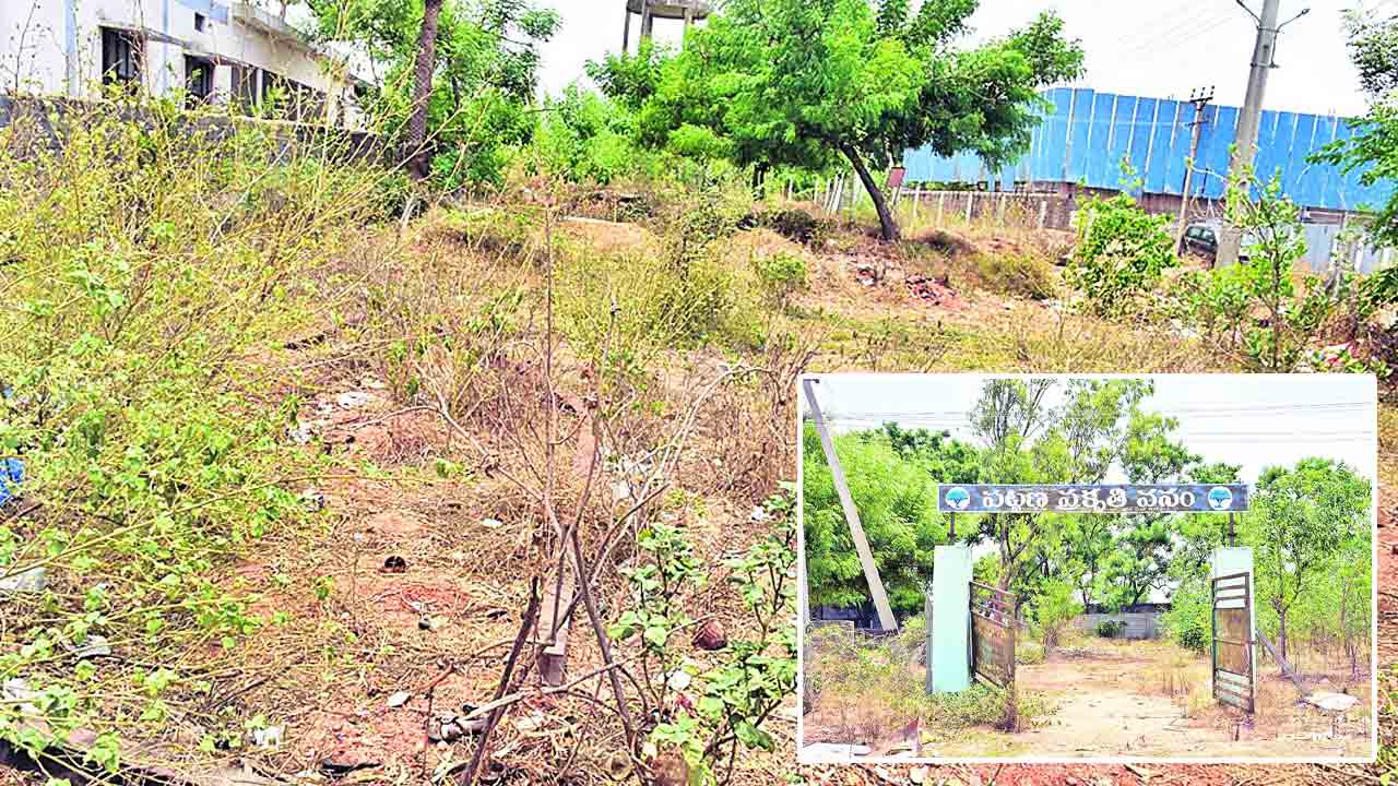 ప్రకృతి వనం.. కళావిహీనం