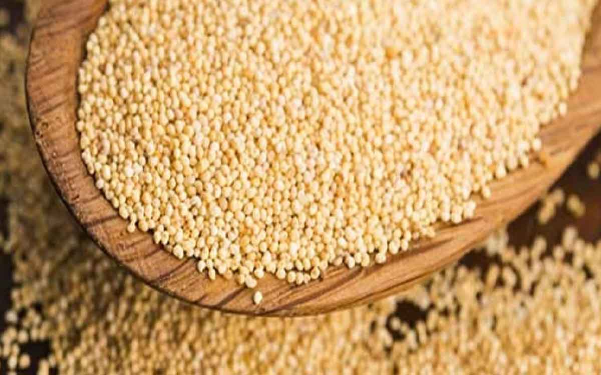 Poppy Seeds | గ‌స‌గ‌సాల‌ను అంత తేలిగ్గా తీసుకోవ‌ద్దు.. వీటితో అనేక లాభాలు క‌లుగుతాయ‌ని చెబుతున్న నిపుణులు..