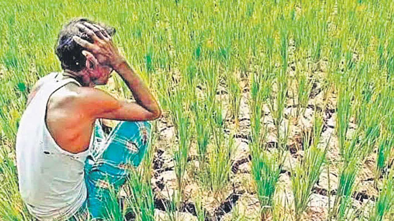 రైతు బీమా గల్లంతు