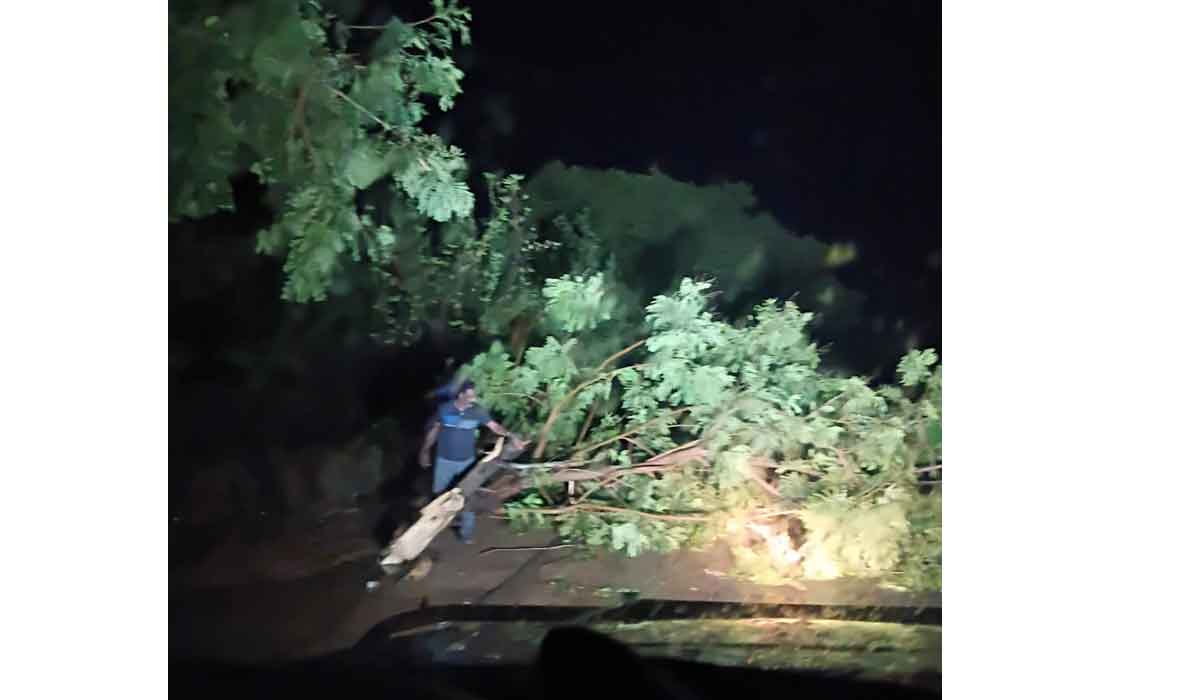 Nizamabad | నిజామాబాద్‌లో ఈదురుగాలికి రోడ్డుకు అడ్డంగా పడిన చెట్లు
