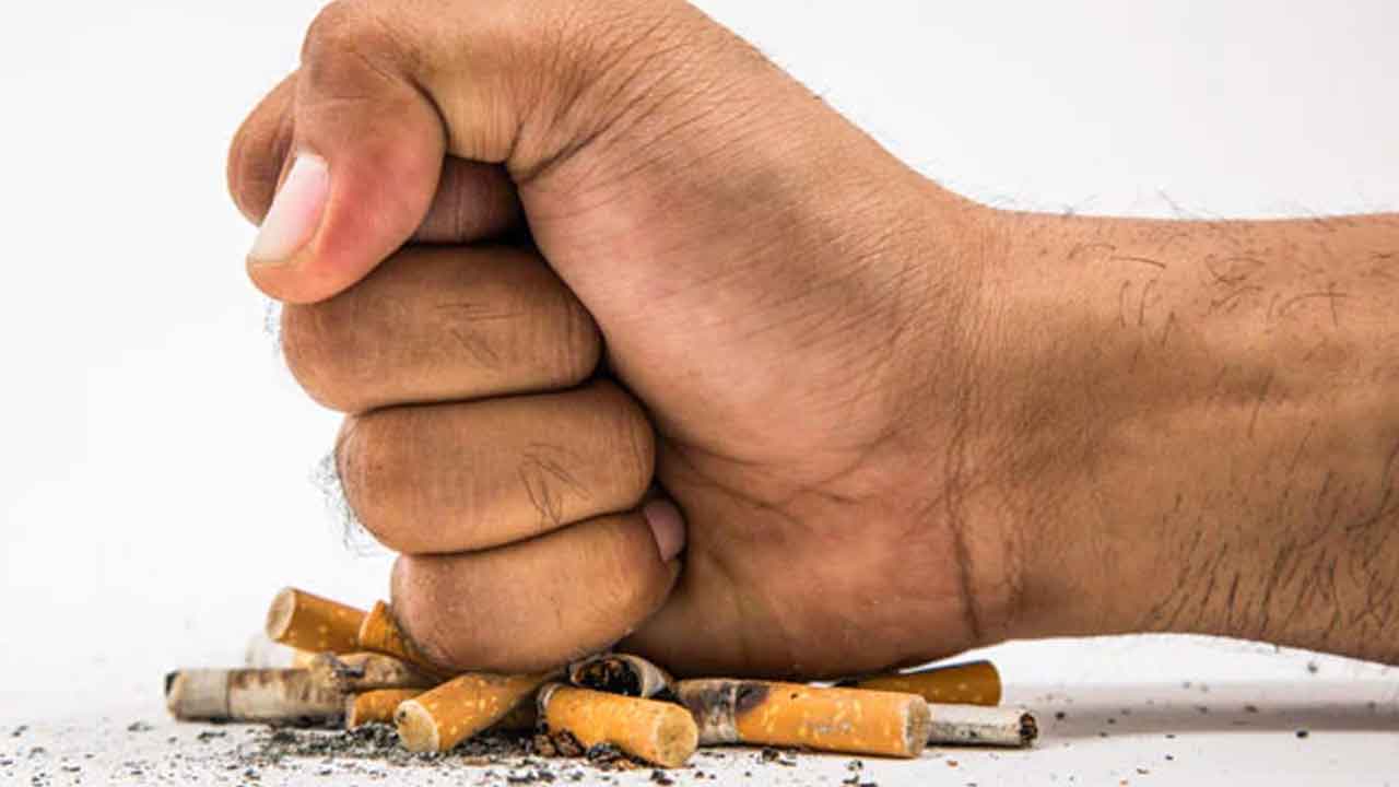 Tobacco | పొగాకు వ‌ల్ల శ‌రీరానికే కాకుండా అనేక విధాలుగా న‌ష్టం.. ఎలాగంటే..?