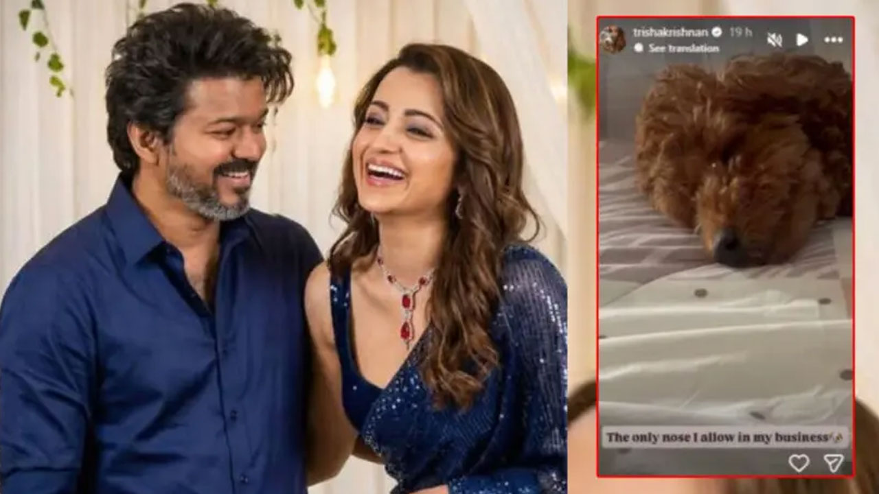 Trisha | నా వ్యక్తిగత జీవితంలోకి తొంగి చూడొద్దు.. రూమర్లపై త్రిష పరోక్ష కౌంటర్!
